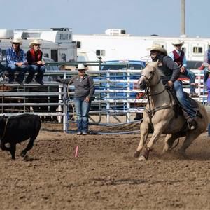 Meet your Posher, Ryder